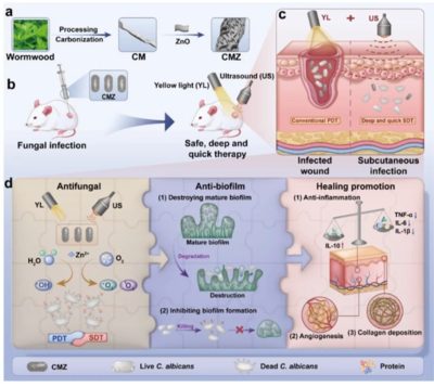 黃光超聲技術(shù) 真菌無蹤，腳氣克星的科研實力新突破
